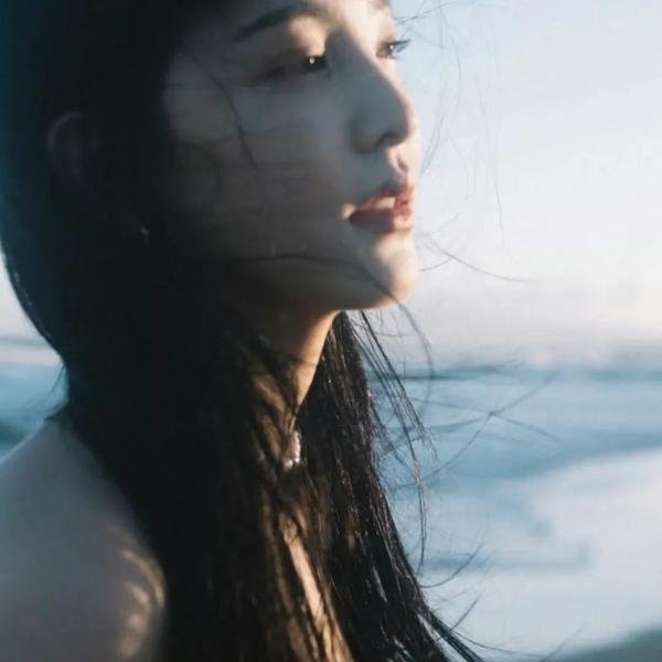 安娜与王子封面